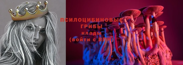 спайс Аркадак