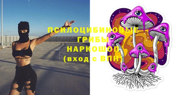 спайс Аркадак