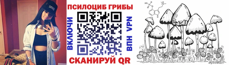 ОМГ ОМГ онион  Олонец  shop какой сайт  Галлюциногенные грибы MAGIC MUSHROOMS 